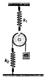 A light pulley is suspended at the lower end of a spring of constant k1 ...