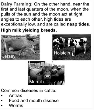 Explain the cattle farming. - Sarthaks eConnect | Largest Online Education  Community