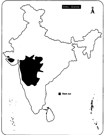 Mark the areas of black soil on the outline map of India. - Sarthaks eConnect | Largest Online Education Community