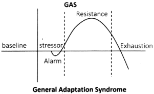 what is general adaptation syndrome stages