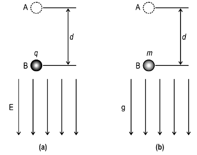 the representations of uniform electric and gravitational fields.