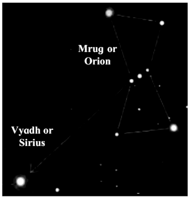 Draw sketches to show the relative position of prominent stars in Ursa ...