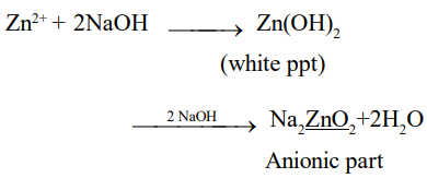 naoh zn excess solution ions sarthaks explanation