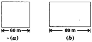 A square and a rectangular field with measurements as given in the figure have the same perimeter. Which field has a larger area