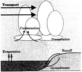 water or hydrological cycle