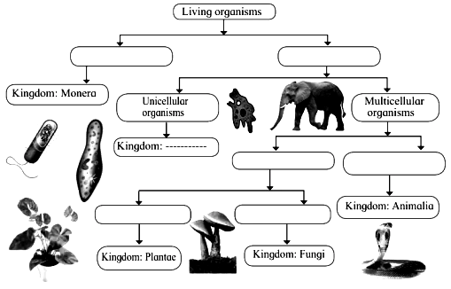 Complete the chart by taking into consideration the criteria for  classification: Living organisms - Sarthaks eConnect | Largest Online  Education Community