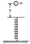 A block of mass 2 kg is allowed to fall from a height