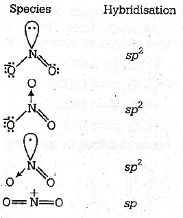 The species in which the N-atom is in a state of sp hybridisation is (a