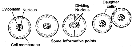 Some Informative points