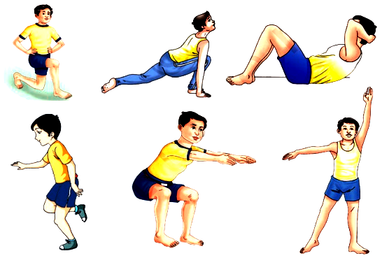 General warm up exercises