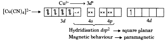 Write Down The Hybridisation And Magnetic Character Of The Following Complexes I Cu Cn 4 2 Ii Cr Nh3 6 3 Sarthaks Econnect Largest Online Education Community