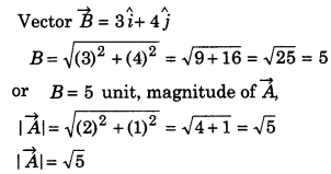 vector which has magnitude equal to that vector B