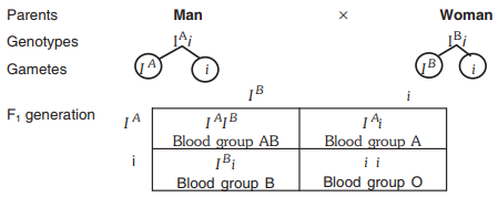 Group marriage oblood Are B+