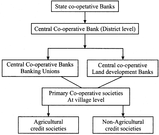 The structure of Cooperative banks? - Sarthaks eConnect | Largest ...