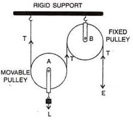Draw a labelled diagram of an arrangement of two pulleys, one fixed and other movable. In the ...