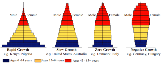 From the age pyramids given in figure what will be your forecast for 15 ...