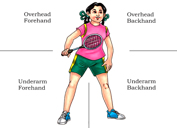 Position marked for various strokes