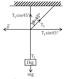 an angle of 45° with respect to the vertical axis as shown in figure.